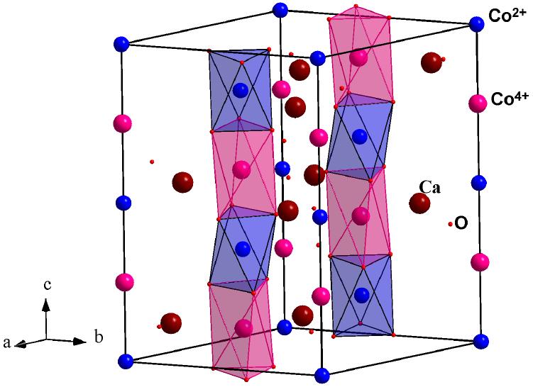 One-dimensional Oxides 56 Crystal structure of Ca 3 Co 2 O 6 Hexagonal with 66 atoms /unit cell Co spins are arranged along c-axis For every two-up spin chain, there is one down-spin