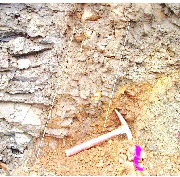 KSD Property Rock Geochemistry Kestrels 2011 Trenching program returned 23 rocks samples greater than 2 g/t Au (up to 17.1 g/t Au) Strike length of gold bearing quartz vein system over 1.