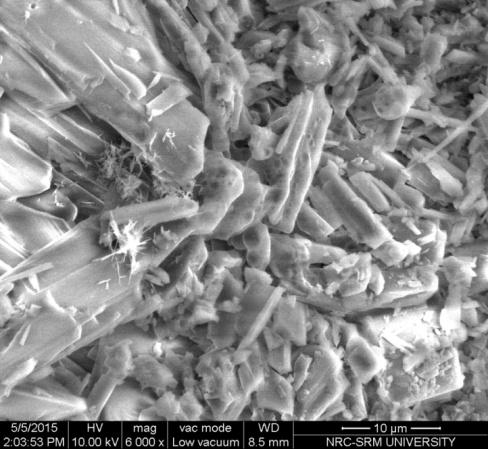 MWCNT, Graphite nanoparticles. Fig. 2 shows the SEM image of graphite particles.