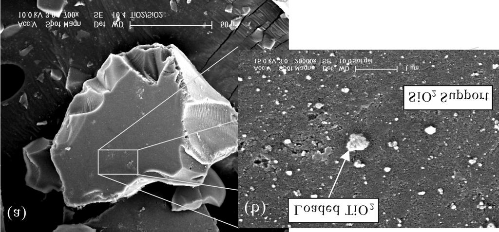 722 M.-J. Kim et al. Fig. 1. SEM images of prepared TiO 2 /SiO 2 photocatalyst: (a) overall image of particle ( 700), (b) surface of photocatalyst ( 20,000).