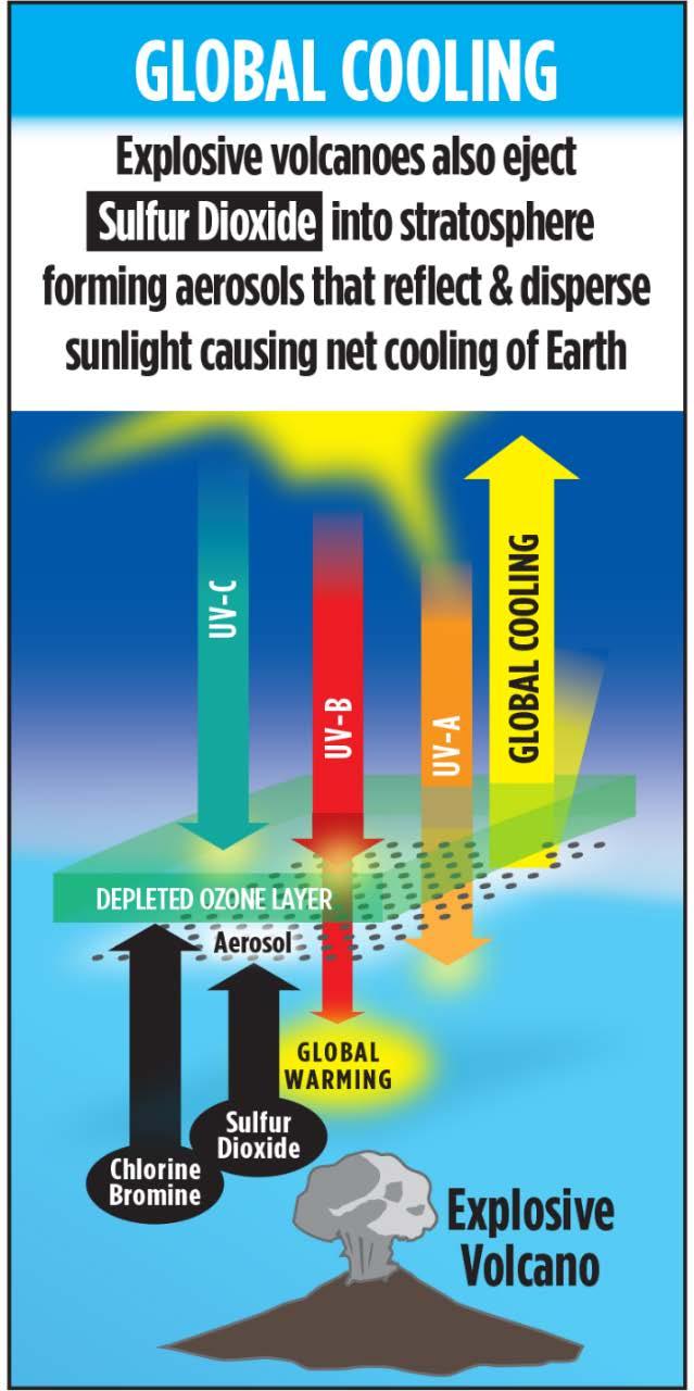 2. Forming lower stratospheric aerosols that cool Earth ~0.5 o C for ~3 years The eruption of Mt.
