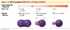 Result of differences in electronegativity: More electronegative element has greater share of e- cloud, it is electron rich Less electronegative element is e- poor Creation of partial charges on the