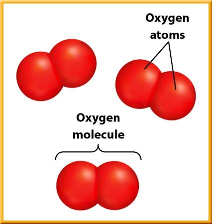 1 Chemistry in Life Molecular Compounds When chemical reactions occur, chemical bonds break, atoms are