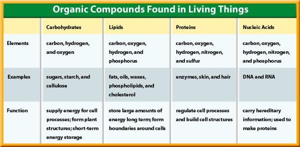 1 Chemistry in Life Organic Compounds Four groups of organic compounds