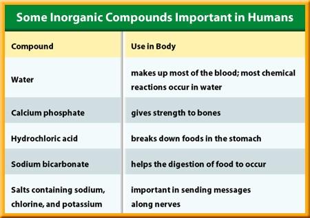1 Chemistry in Life Inorganic Compounds Inorganic compounds can contain the elements nitrogen,