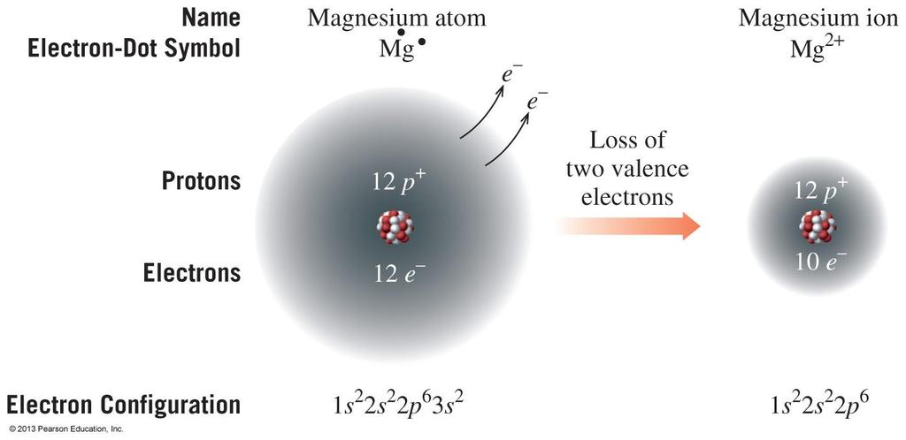 Formation of Magnesium Ion, Mg 2+ Magnesium achieves an octet by losing its