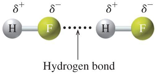 pair of electrons on a nitrogen, oxygen, or fluorine atom