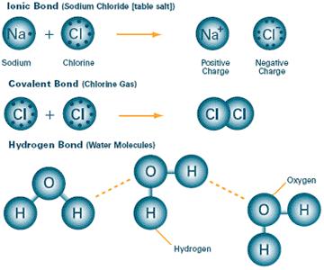 BONDS, JUST BONDS Covalent nuclei share common electrons STRONG!