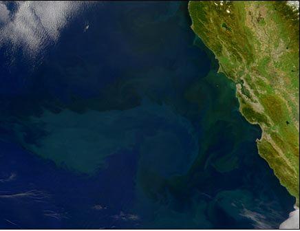 Satellite Ocean Color (Chlorophyll) Observations Natural