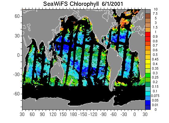 Assimilated Observations mg/m 3 Daily gridded SeaWiFS chlorophyll data gaps: satellite track, clouds, polar nights ~13,000-18,000