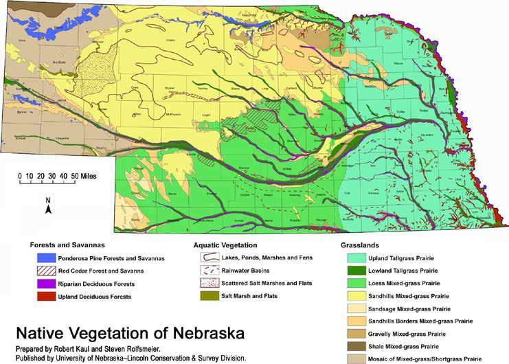 Vegetation Map Mule Shoe Bar South Ranch The Sandhills area of Nebraska is the Nation s largest undisturbed native grassland.