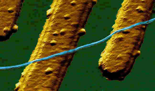Carbon Nanotubes as Electronic Materials Gate Source Drain A Molecular Quantum Wire ~ 1