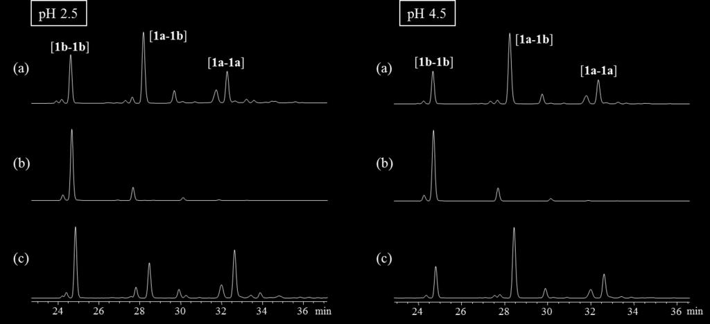 Figure S10: HPLC traces of the  [1a+1b] with 25% DMSO, for the phs 2.