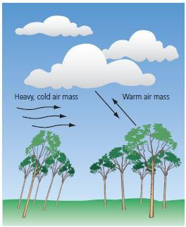 Fig 2. Cumulonimbus clouds generated by frontal storms. II.