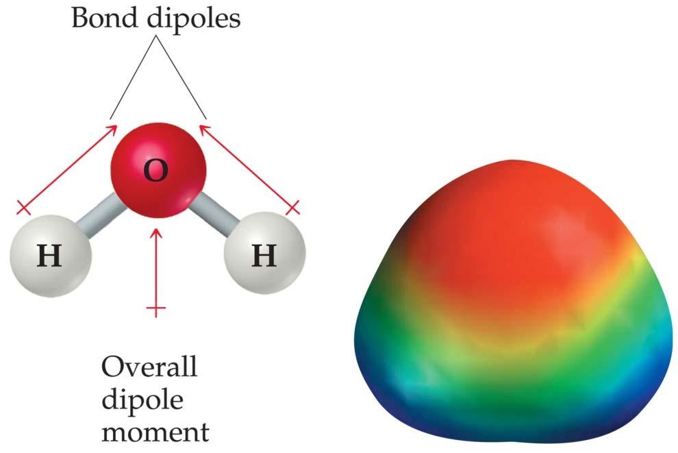 Polarity By adding the individual bond dipoles, one can determine the overall dipole moment for