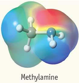 Polarity In methylamine, the molecule is