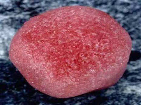 The Secret of Red Snow Snow algae also called as Watermelon snow is a pink color snow consists of watermelon flavour.