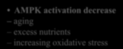 AMPK Activate protein hormone AMPK: Master Metabolic Regulator