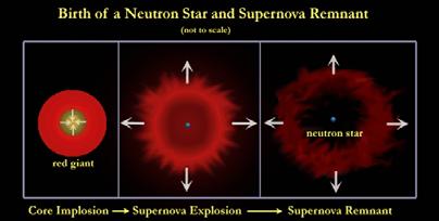 holes, neutron stars, and white