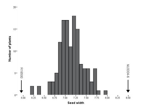 836 Kasetsart J. (Nat. Sci.) 49(6) DISCUSSION Parents of the mapping population used in this experiment were chosen based on their great differences in seed size traits.