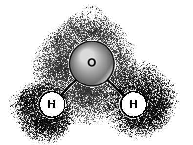 10/16/17 Water H 2 O 4 major properties make it important in biology: Polarity Hydrogen bonding (weak bond) Density