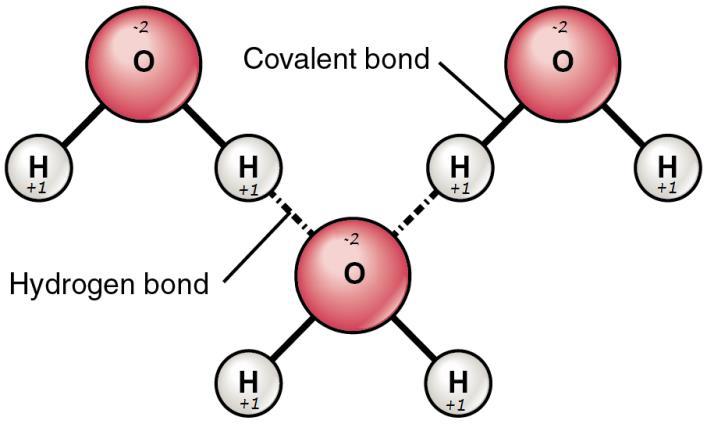 neutral Hydrogen bond weak bond between hydrogen with a partial positive charge and another atom with a partial negative