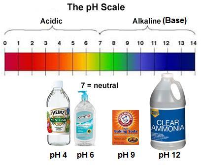 10/18/17 ph measure of how acidic or basic a substance is measure of the amounts of H 3 O + and OH - Acids have more hydronium (H 3 0 + ) ions Low ph Fruit juices, sodas, ketchup, coffee Bases have
