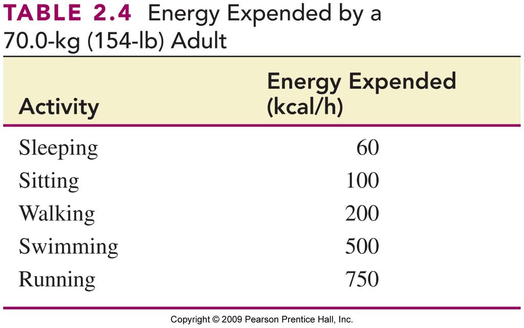 Energy Requirements The amount of energy needed