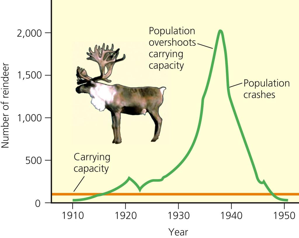 Exponential growth, overshoot, and population crash of reindeer introduced onto St. Paul.