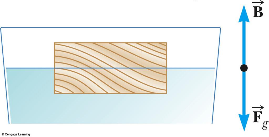 Example 5 A raft is constructed from wood having a density 600 kg/m 3. Its surface area is 5.
