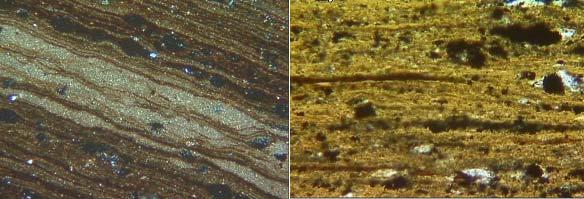 The optical microscopy analysis of the thin sections of oil shale samples, as shown in Figure 2, confirmed the lamellar structure in which different minerals are distributed in very thin and parallel