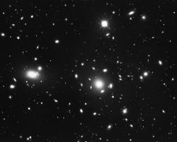 The Coma Cluster Visible light Nearest