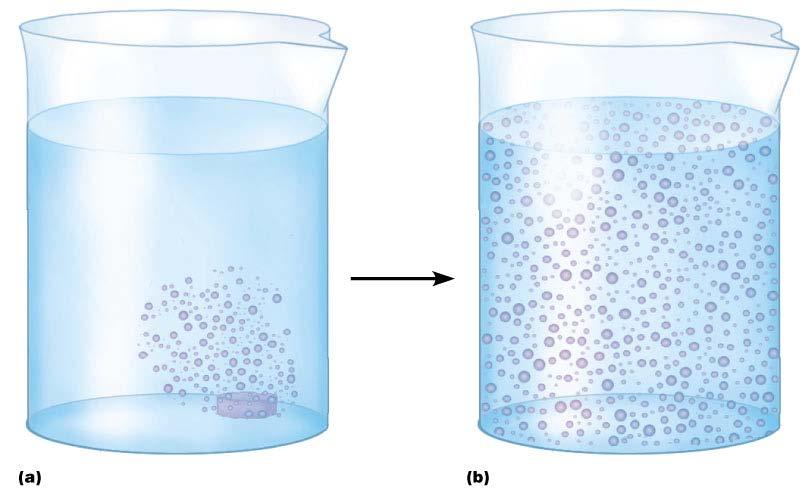 Passive Transport Processes Diffusion Particles tend to distribute themselves evenly within a solution