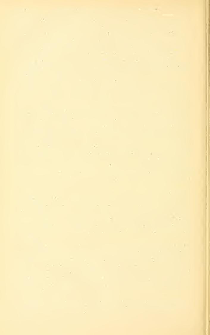 434 PROCEEDINGS OF THE NATIONAL MUSEUM. vol. xxix. National Museum exhibit at the Pan-American Exposition" in Buffalo. Because of the general interest aroused by this reproduction, Dr. George P.