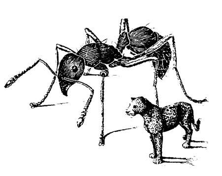 Herbivorous insects are abundant on earth and cause severe damage to crops