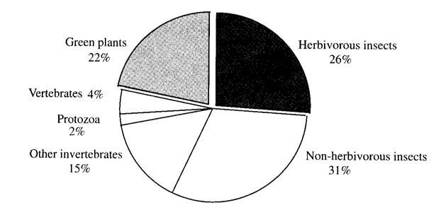 vertebrates (9 to 1) Proportion of plant and animal species excluding fungi,