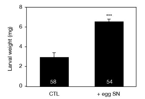 Treatment with egg extract suppresses defense gene expression and enhances
