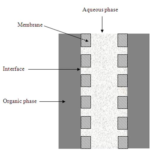 Membrane contactors can be considered as a promising technology for separation of ammonia from wastewater.