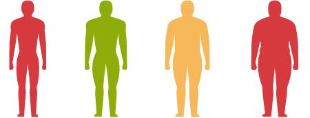 2017 JCHL Paper 1 Question 1 (a) (i) 15 Marks A person s Body Mass Index (BMI) is given by the following formula: BMI = w h 2 where w is their weight in kg, and h is their height in metres.