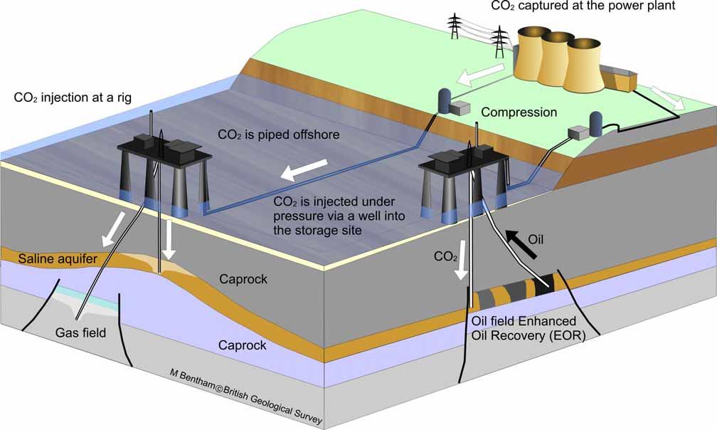 What is Carbon Capture and Storage