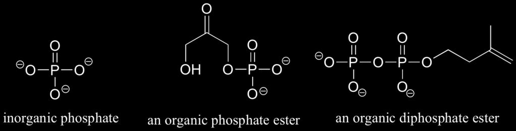 Notice that this 'P' abbreviation includes the oxygen atoms and negative charges associated with the phosphate groups.