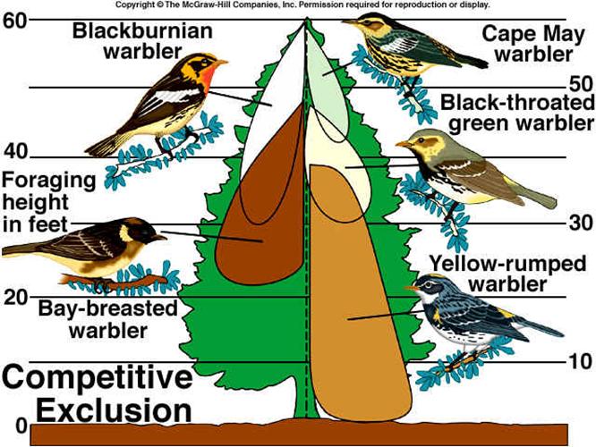 Topic 4 Interactions Between Species Notes Different Species can interact in 3 different ways o Competition o Predation o Symbiosis Competition occurs when two or more individuals seek to utilize the