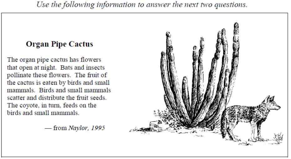 1. The relationships described above between the organ pipe cactus and insects, and between the organ pipe cactus and small mammals are identified in row 1.