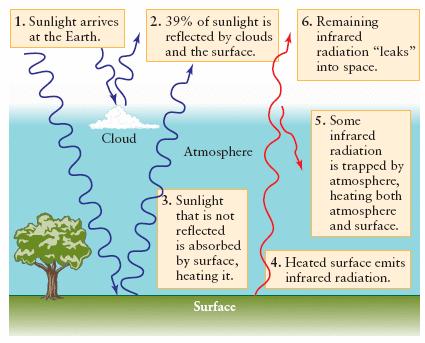 Greenhouse Effect Given the energy per second incident on the Earth and the albedo we can calculate the rate of energy absorbed.