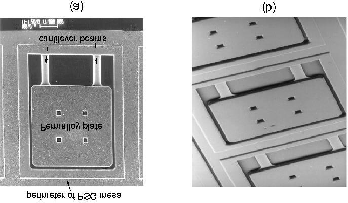 Fig. 6. SEM micrograph of (a) top view and (b) perspective view of a Type- actuator. Fig. 7.