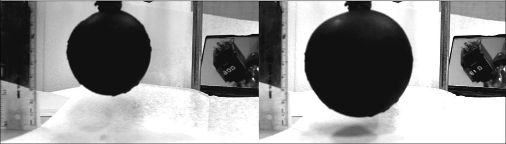 from the photographs taken by a high-resolution camera. Figure 7-1 shows two captured images of BSA before and after being inflated.