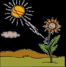 8-BIG IDEA!!! The key cellular process for producing energy form the sun is photosynthesis.