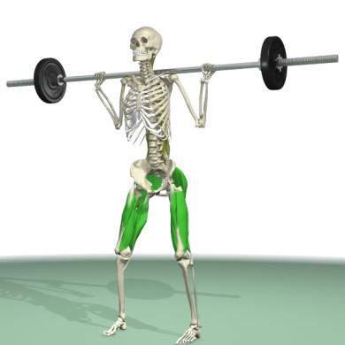 animations/movies Anatomy for Pilates 27 individual 3D views, with 4,681 images 883 text articles 83 illustrations 356