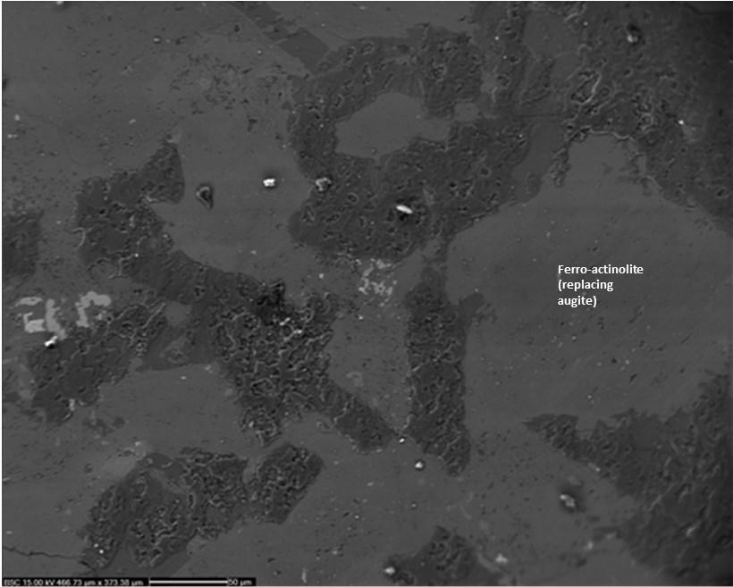 Figure 6. Ferro-actinolite replacing augite in a lava flow at 2502 m in HE-8. The figure is approximately 480 µm wide. Backscattered image.