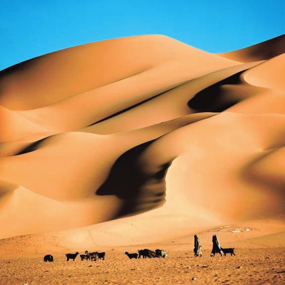 The largest desert